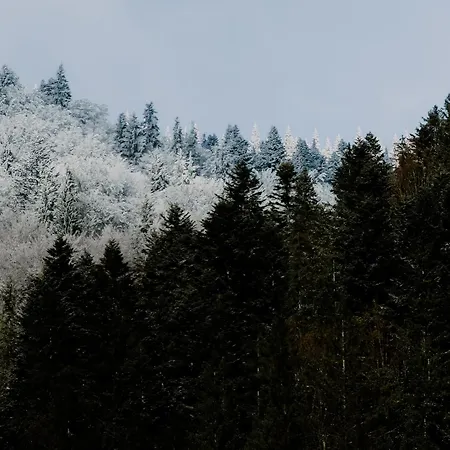 Hotel гук готельно-ресторанний комплекс *