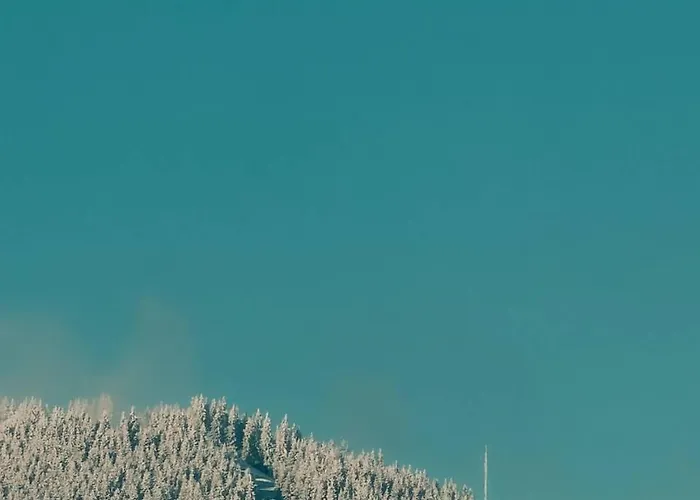 гук готельно-ресторанний комплекс *