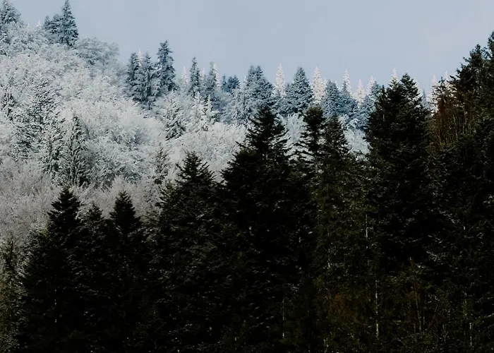 Отель гук готельно-ресторанний комплекс *